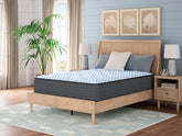Bay Furniture Gallery - Ashley Furniture - Destin Cove Plush Mattresses - California King - M33151
