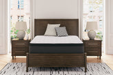 Bay Furniture Gallery - Ashley Furniture - Limited Edition PT Mattresses - Queen / White - M41231