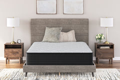 Bay Furniture Gallery - Ashley Furniture - Palisades Plush Mattresses - Twin / Gray/Blue - M41611