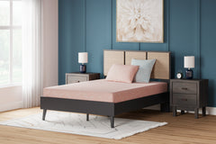 Bay Furniture Gallery - Ashley Furniture - iKidz Coral Mattresses - Full and Pillow 2/CN / Coral - M43121