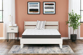 Bay Furniture Gallery - Ashley Furniture - 8 Inch Bonnell Hybrid Mattresses - Twin / White - M58711