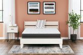Bay Furniture Gallery - Ashley Furniture - 10 Inch Pocketed Hybrid Mattresses - California King / White - M58951